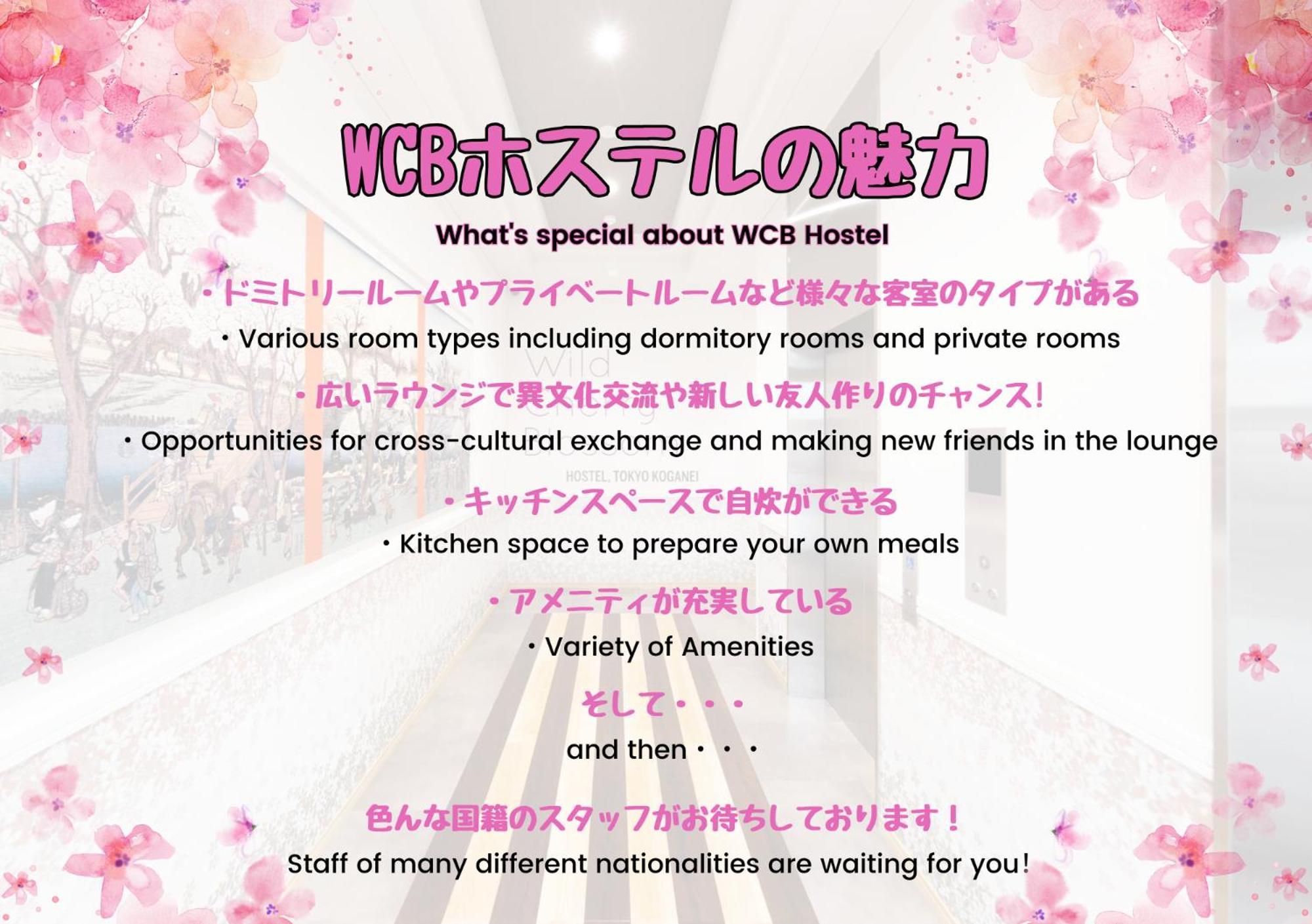 Wild Cherry Blossom-Hostel,Tokyo Koganei- Exteriör bild